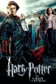 Ver Harry Potter y el cáliz de fuego pelicula online completa  width=