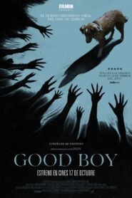 Ver Good Boy pelicula online completa  width=