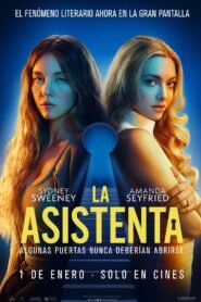 Ver La asistenta pelicula online completa  width=