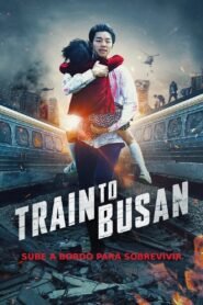 Ver Train to Busan pelicula online completa  width=