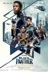 Ver Black Panther pelicula online completa  width=