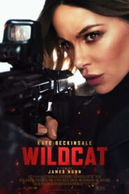 Ver Wildcat pelicula online completa  width=