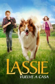Ver Lassie Vuelve a Casa pelicula online completa  width=